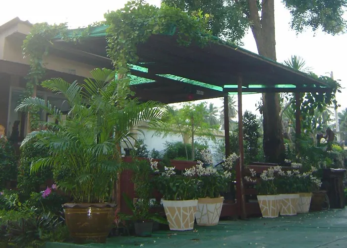 Coconut 3*